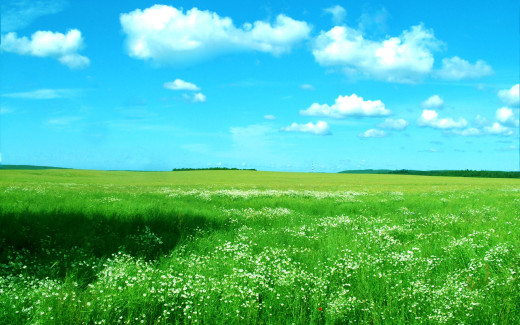 466831 (a): :1280x800